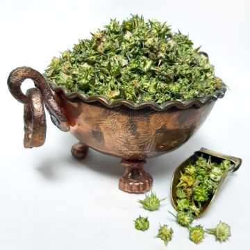 خارخسک - عطاری خوب