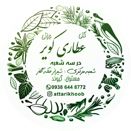 دمو الکترونیک 2 | وودمارت پلاس